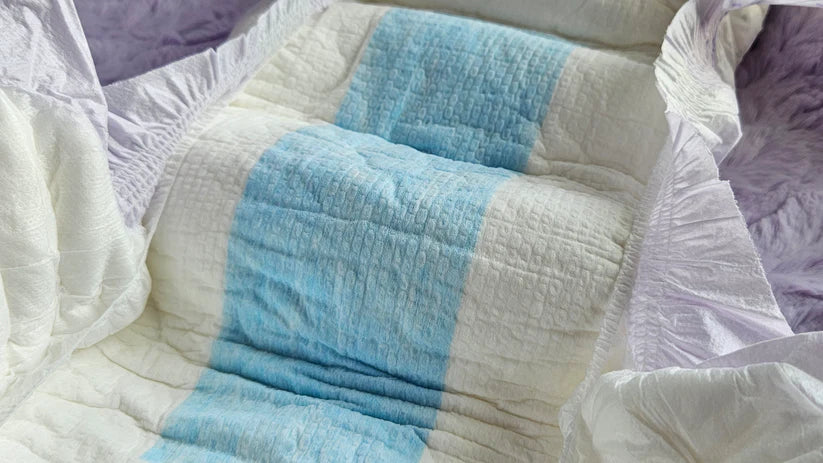 BeddyByes Diaper Sample (2) Pack